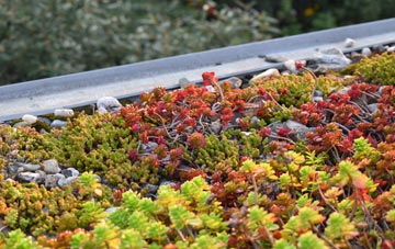 the cost of Kempshott green roof installation