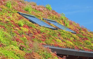 Kempshott living roof systems